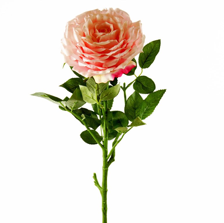 Artificial Rose Single Long Stem 65cm Pale Pink www